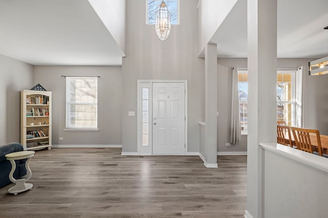 foyer entrance with hardwood / wood-style floors, a high ceiling, and a wealth of natural light