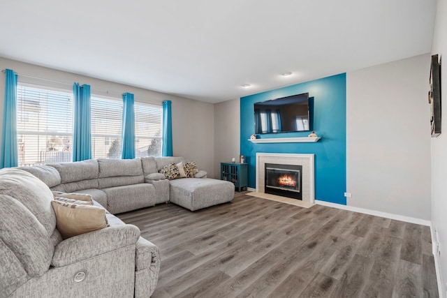 living room with hardwood / wood-style flooring and a fireplace