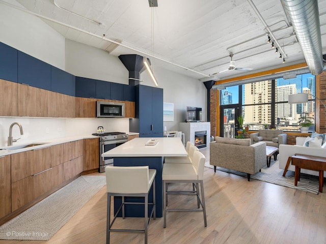 kitchen featuring stainless steel appliances, a sink, a lit fireplace, light wood-type flooring, and modern cabinets