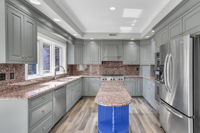 1801 Cobblefield Ct, Champaign, IL 61822 - kitchen featuring stainless steel appliances, gray cabinets, custom range hood, a raised ceiling, and light stone counters
