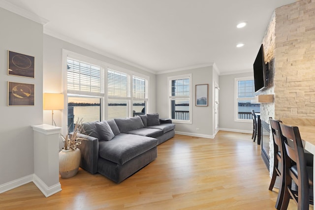 living room with crown molding, a fireplace, and light wood-type flooring