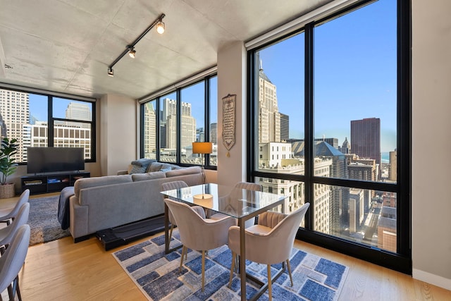 dining area featuring expansive windows, track lighting, and light hardwood / wood-style floors