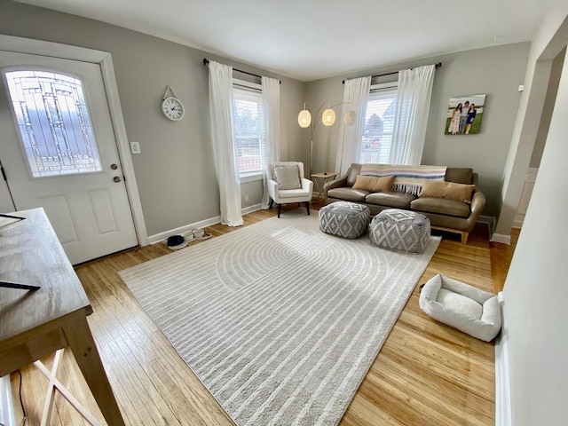 living room featuring wood-type flooring