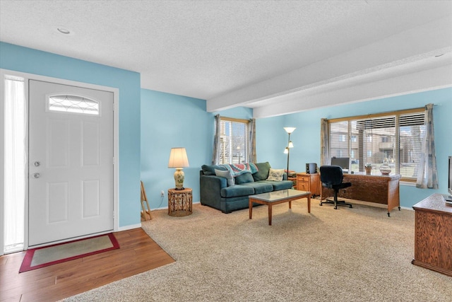 living room with hardwood / wood-style flooring and a textured ceiling