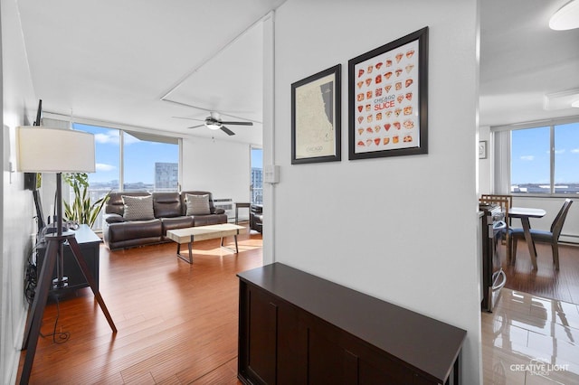 hallway with hardwood / wood-style floors and a wealth of natural light