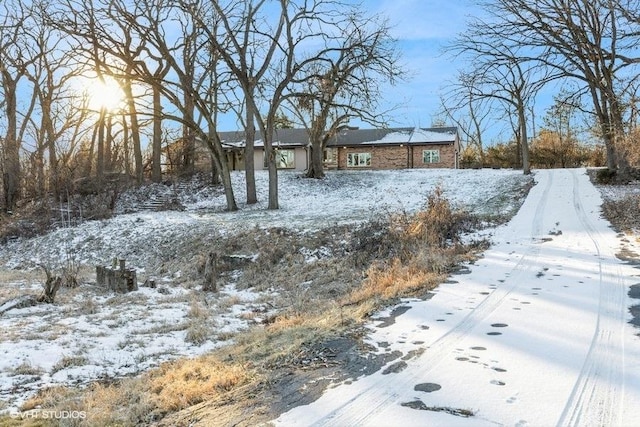 view of yard covered in snow