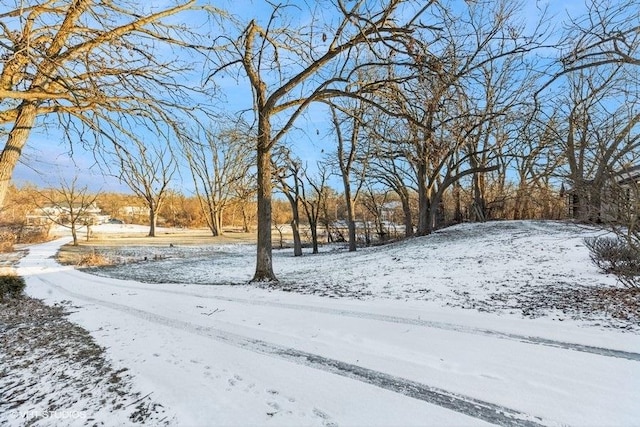 view of yard layered in snow