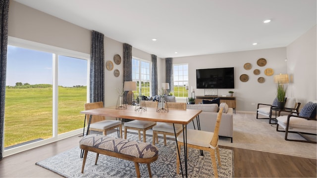 dining space with hardwood / wood-style flooring