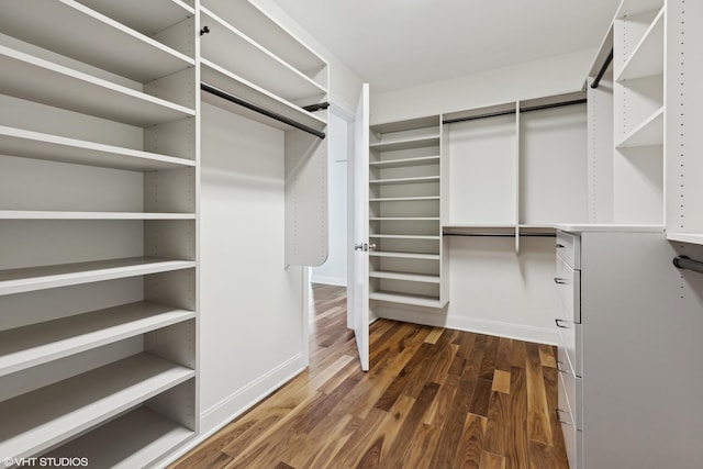 spacious closet featuring dark wood-style flooring