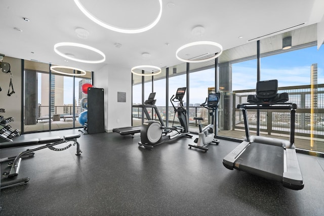 workout area featuring floor to ceiling windows and a healthy amount of sunlight