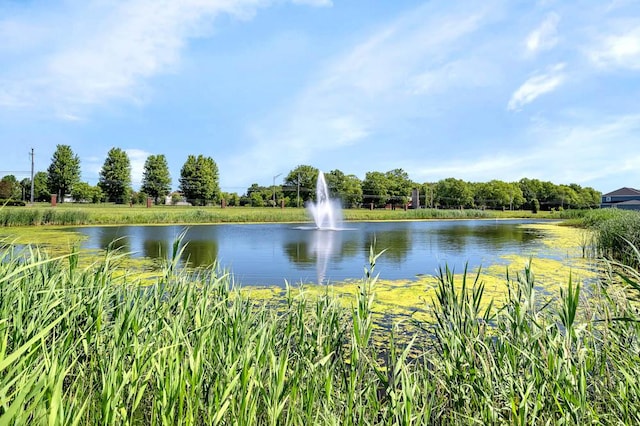 view of water feature