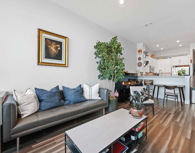 living room featuring sink and dark hardwood / wood-style floors