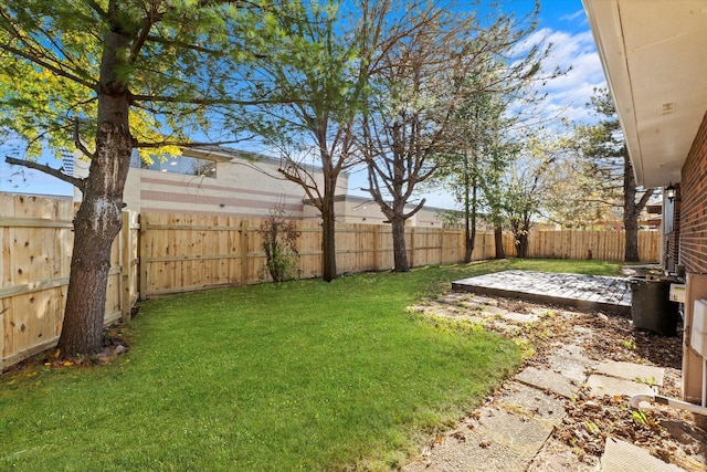 view of yard featuring a patio