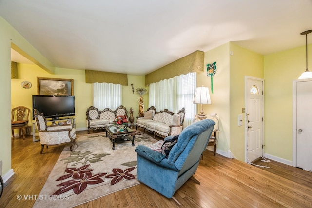 living room featuring light hardwood / wood-style flooring