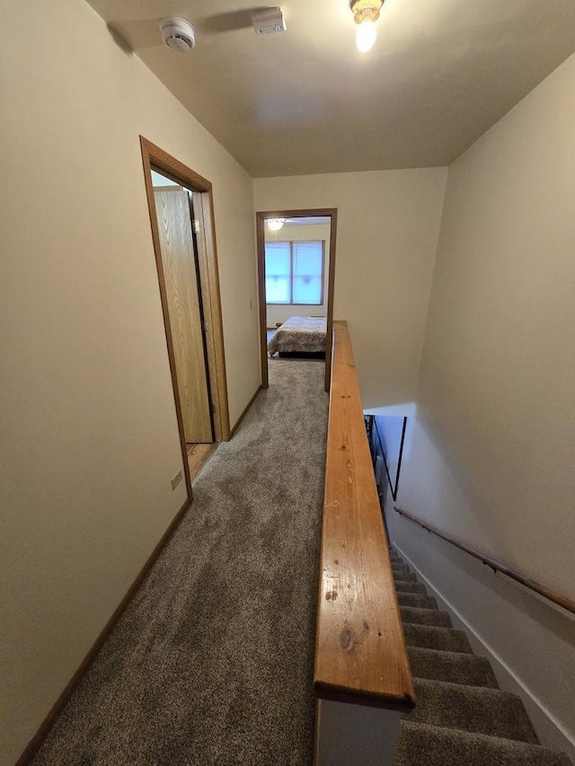 hallway featuring carpet floors