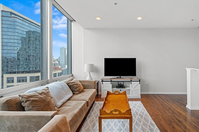 living room featuring wood-type flooring and floor to ceiling windows