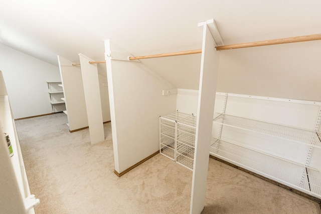 walk in closet featuring carpet flooring