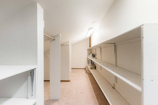 spacious closet with light colored carpet