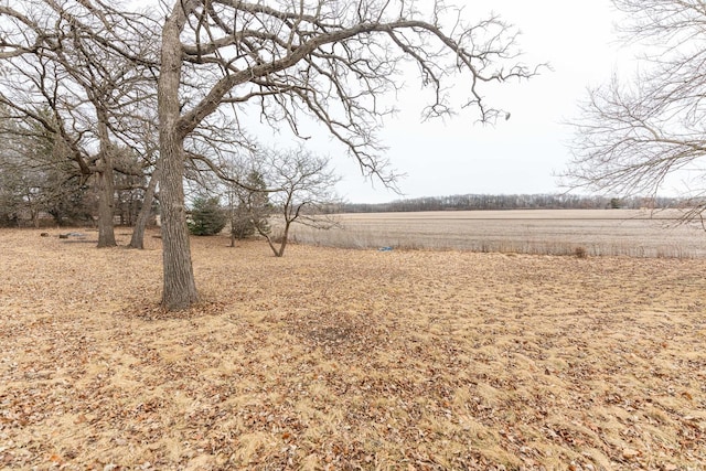 view of yard featuring a rural view