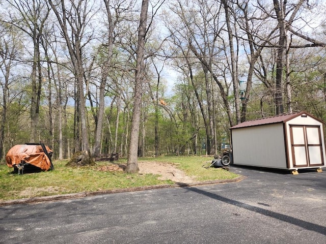 view of yard featuring a storage shed