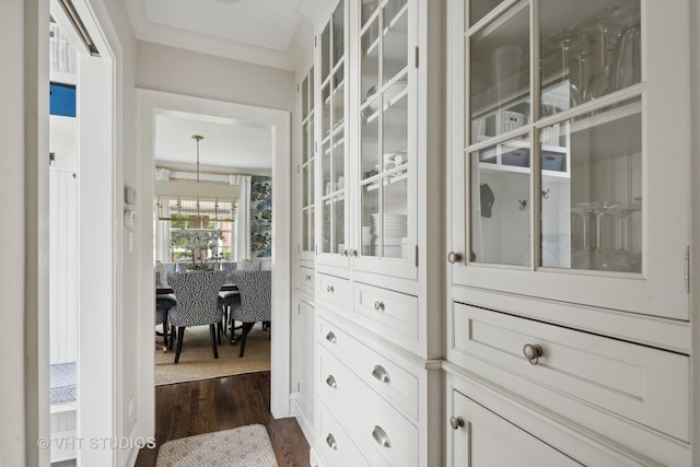 spacious closet featuring dark hardwood / wood-style flooring