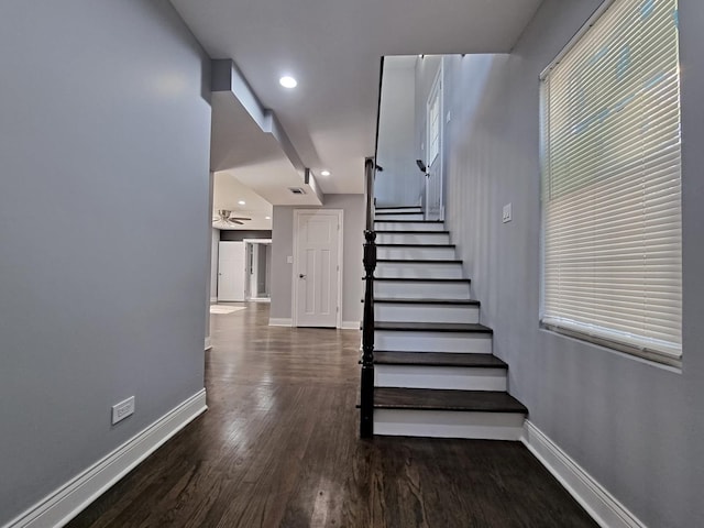 staircase featuring ceiling fan and wood-type flooring