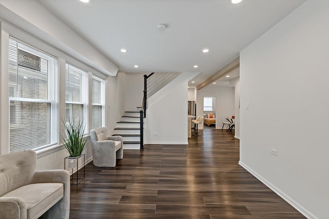 interior space featuring dark hardwood / wood-style floors