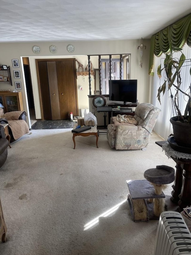 living room featuring radiator and carpet flooring