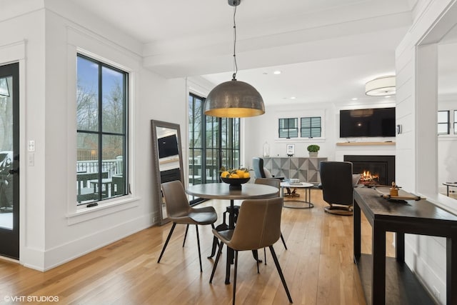 dining space featuring light hardwood / wood-style floors and a healthy amount of sunlight