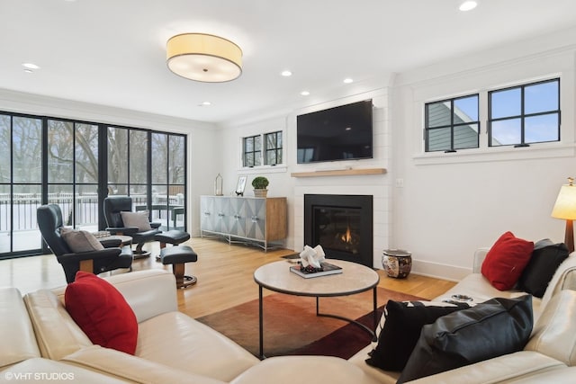 living room with wood-type flooring and a large fireplace