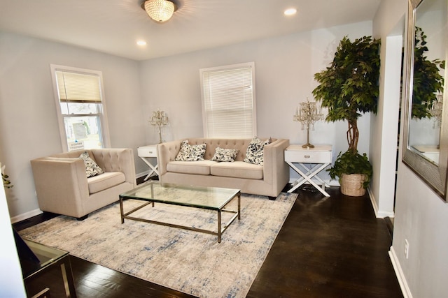 living room with wood-type flooring