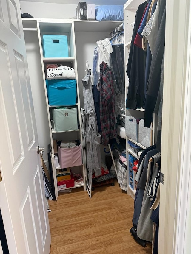 walk in closet with wood-type flooring