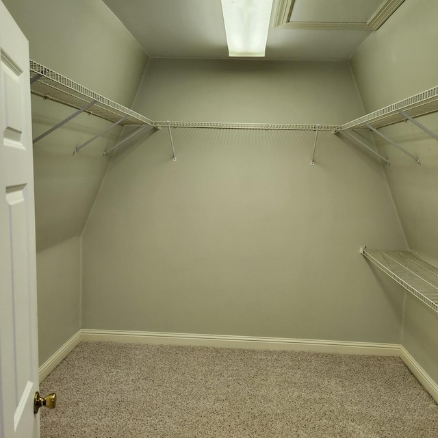 spacious closet featuring lofted ceiling and carpet floors