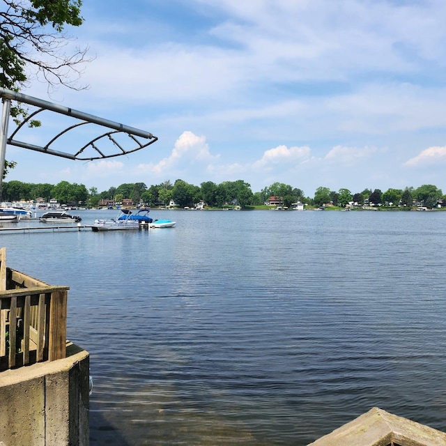 water view featuring a boat dock