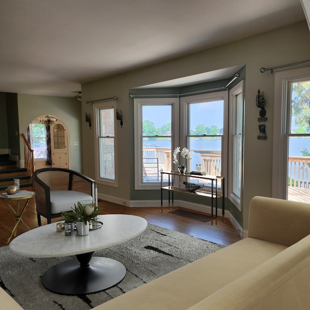 living room with a water view, a healthy amount of sunlight, and dark hardwood / wood-style floors