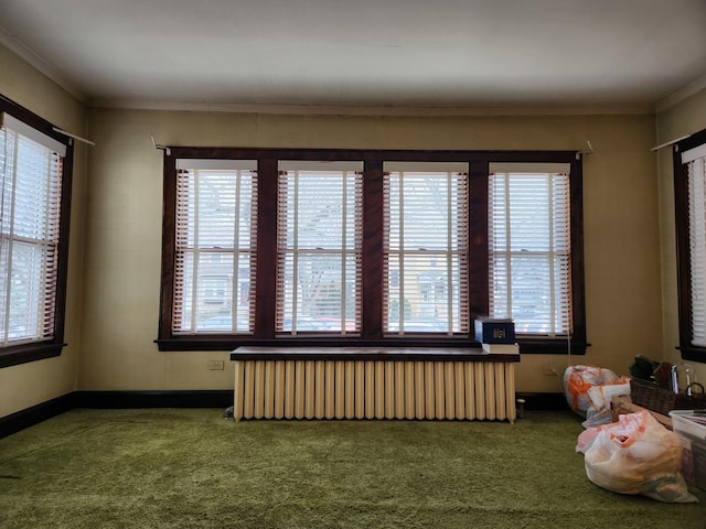 carpeted empty room featuring ornamental molding and radiator heating unit