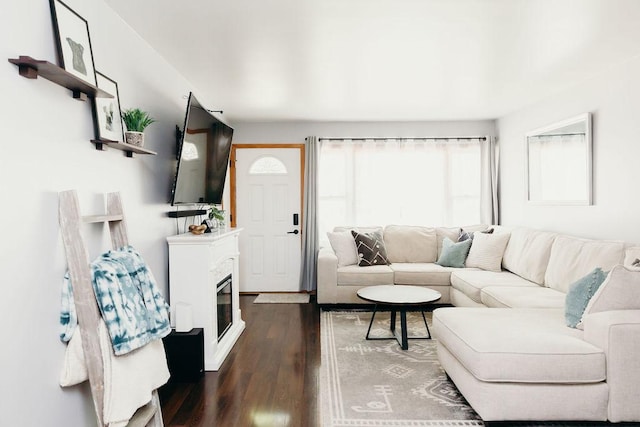 living room with dark hardwood / wood-style flooring