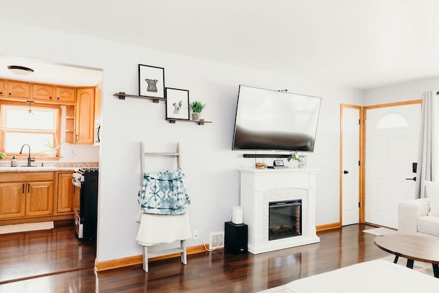 living room with dark hardwood / wood-style floors and sink