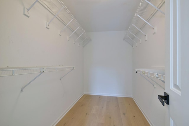 spacious closet featuring light wood-type flooring