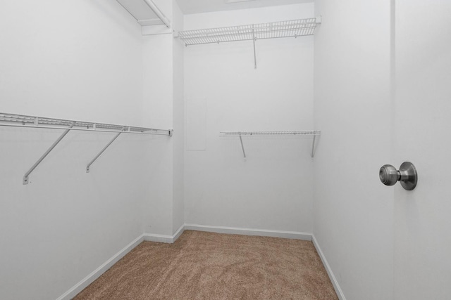 spacious closet with carpet flooring