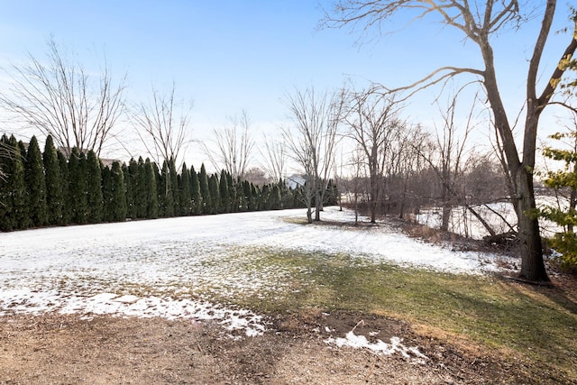 view of yard covered in snow