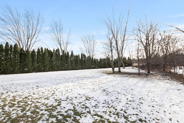 view of snowy yard