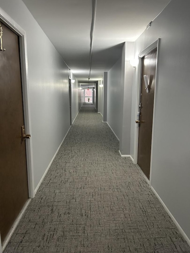 hallway featuring carpet