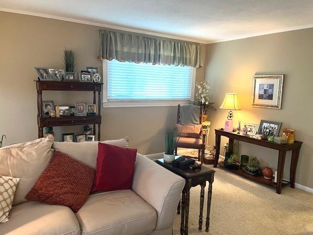 carpeted living room with crown molding