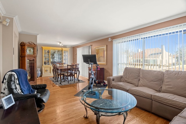 living area with light wood-style flooring and crown molding