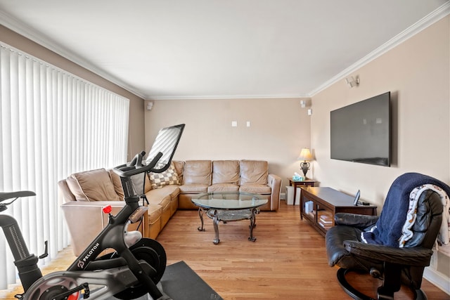 workout area with light wood-type flooring and ornamental molding