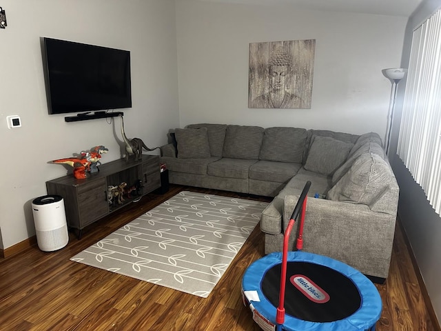 living room featuring dark hardwood / wood-style flooring