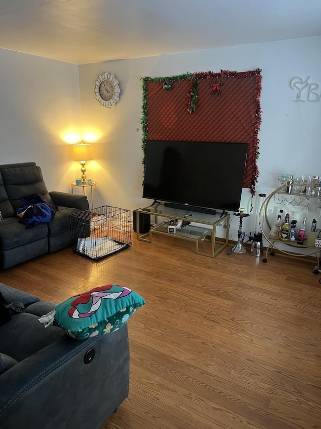 living room with hardwood / wood-style flooring