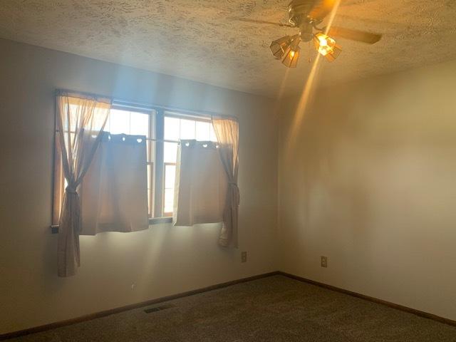 300 11th St, Marseilles, IL 61341 - photo 42
