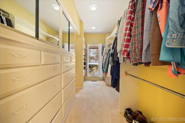 spacious closet with light carpet